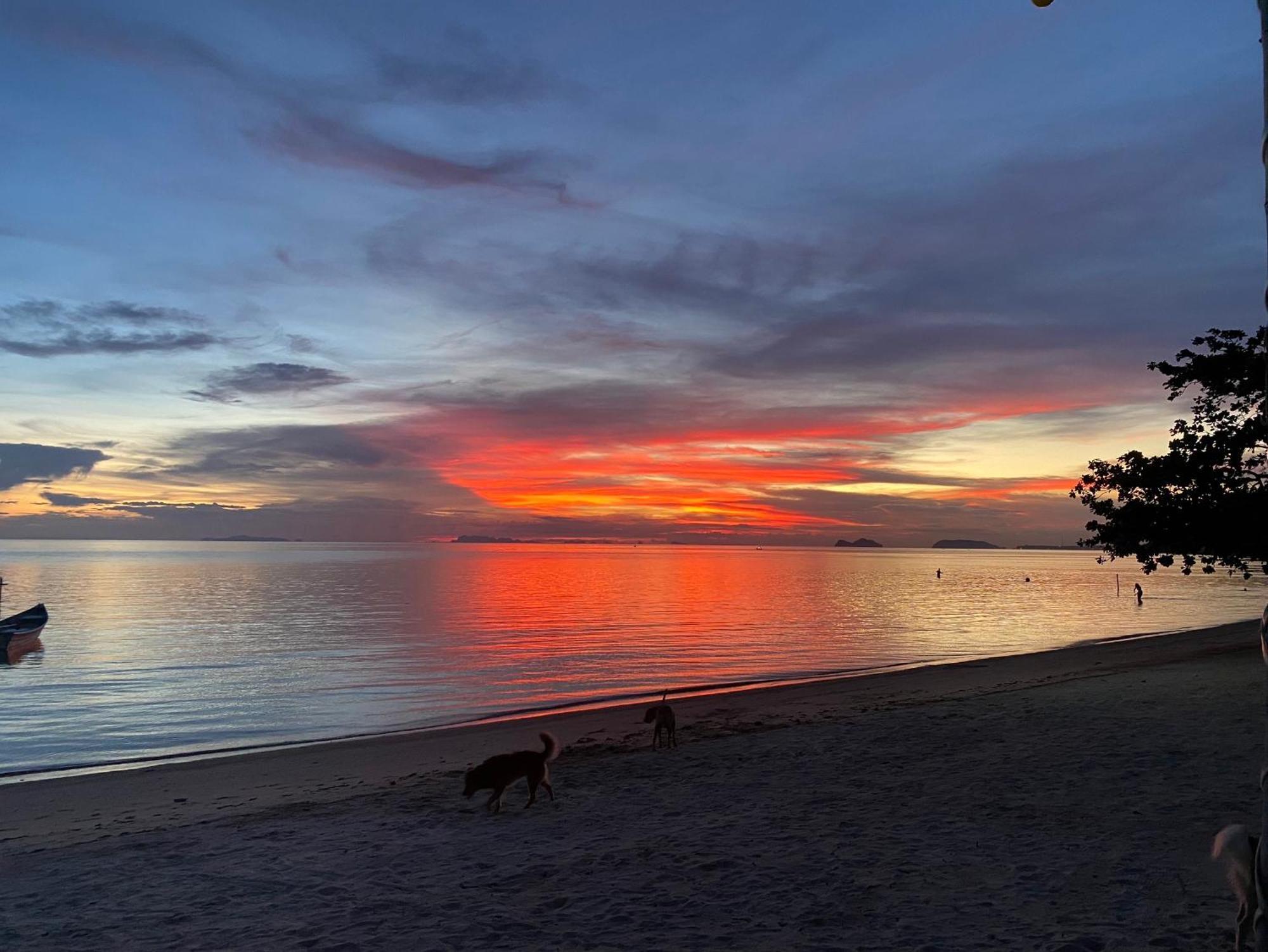 Rainbow Bungalow Haadrin Koh Phangan هاد رين المظهر الخارجي الصورة